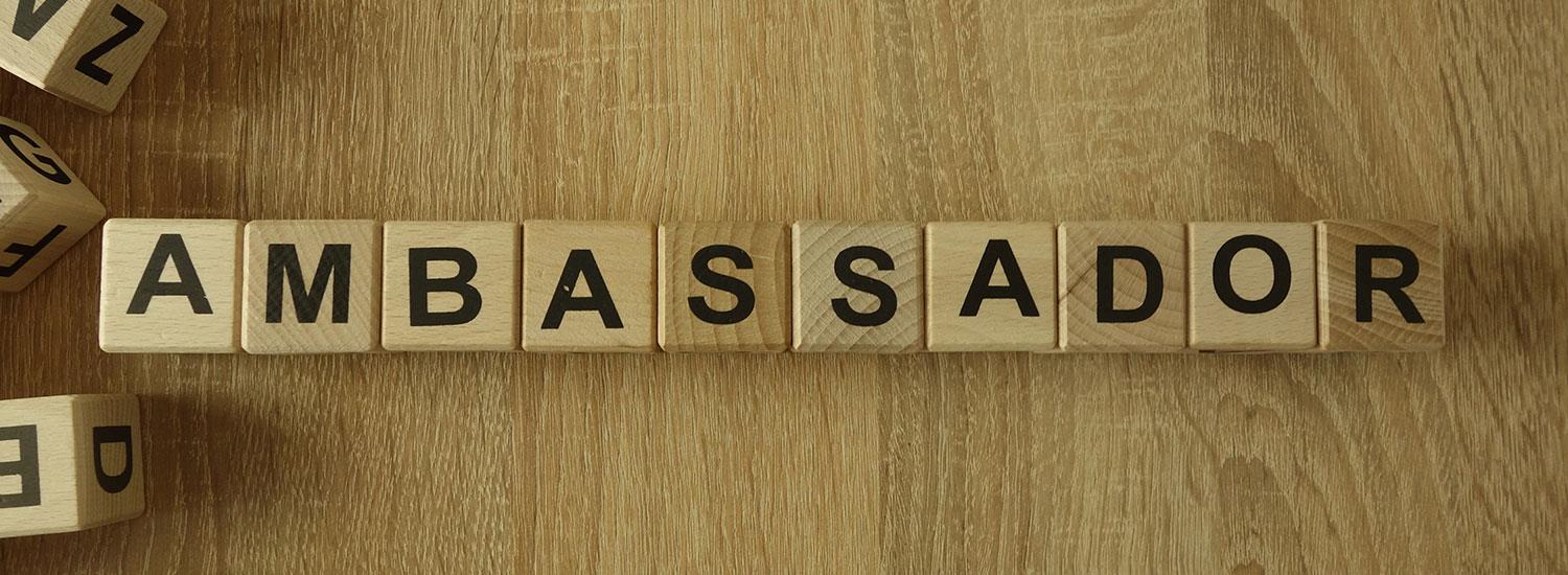 Experience Brampton Ambassador Program