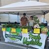 https://wwwauthoring.brampton.ca/EN/Arts-Culture-Tourism/Festivals-and-Events/PublishingImages/Vendor-Logos/Amber%20Farms.jpeg