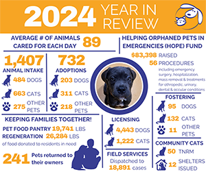 infographic over of milestones for Animal Services