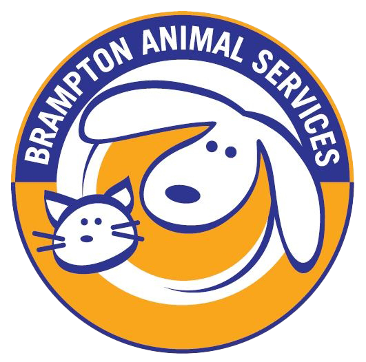 City of Brampton Animal Services