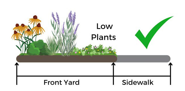 Diagram showing correct and incorrect plant placements in the front yard near the sidewalk. Low plants by sidewalk marked incorrect.