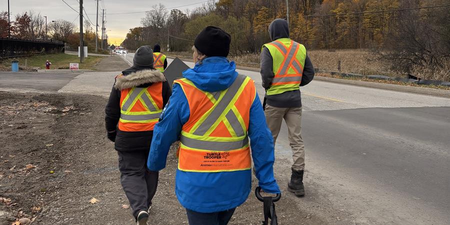 An image showing a group of people walking at the side of a road