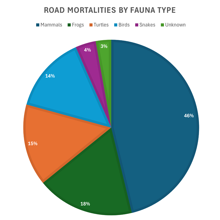 A pie/circle graph illustrating the distribution of Road Mortalities by Fauna Type. 46 percent for mammals, 18 percent for frogs, 15 percent for turtles, 14 percent for birds, 4 percent for snakes, and 3 percent for all other unknown fauna.