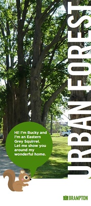 Urban Forest Brochure