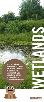 Wetlands Brochure