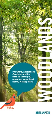 Woodlands Brochure