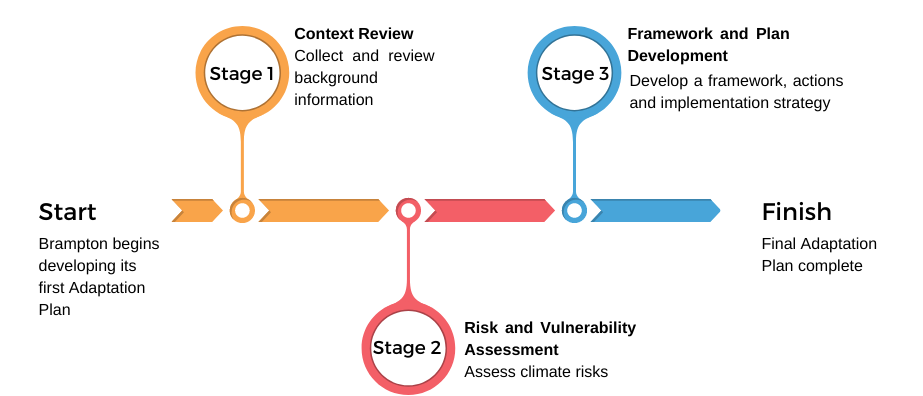 CCAP Process Chart