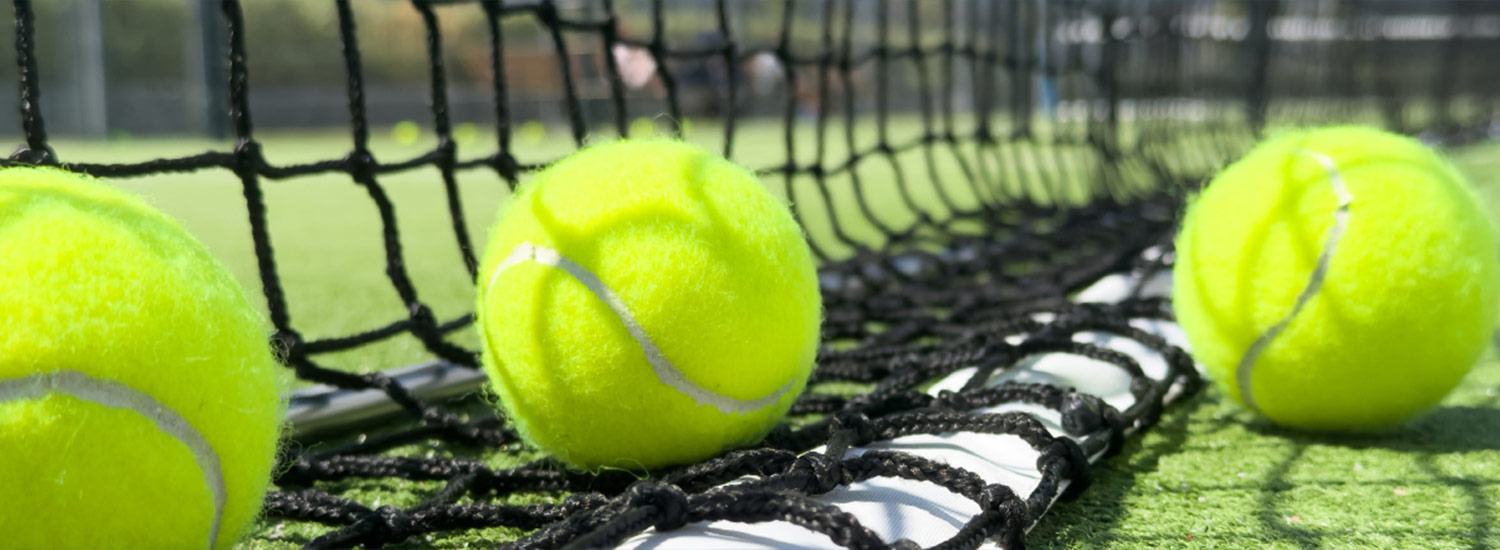 https://wwwauthoring.brampton.ca/EN/residents/Recreation/PublishingImages/AnnouncementImages/rosaela-tennis-event-banner.jpg
