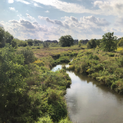 Outfall Sites Remediation Project