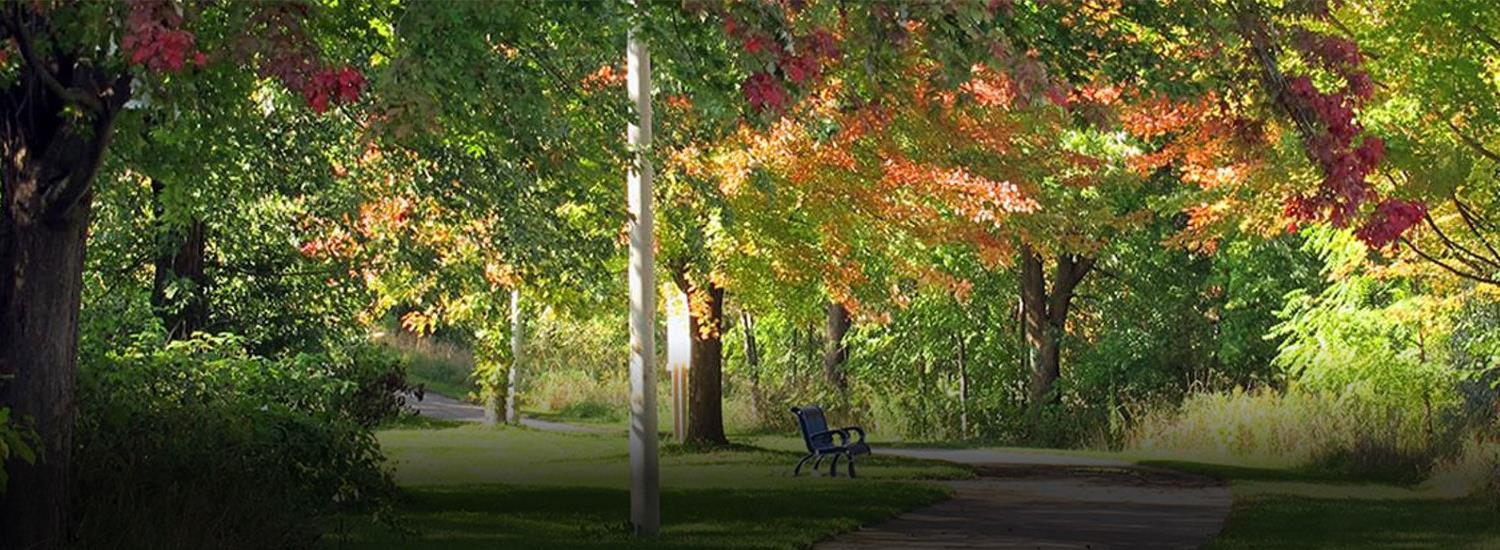 Tree Services