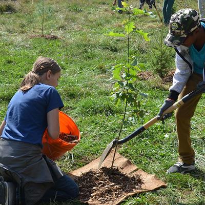 Community Tree Planting