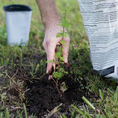 When to Plant