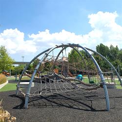 Creditview Activity Hub - Jungle