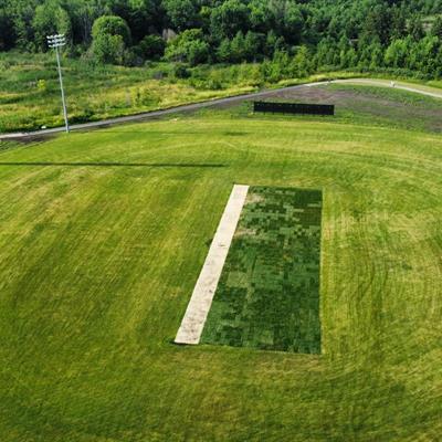 Creditview-Sandalwood Park Cricket Field Development