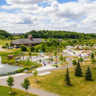 Creditview Activity Hub