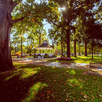 Gage Park Renovations
