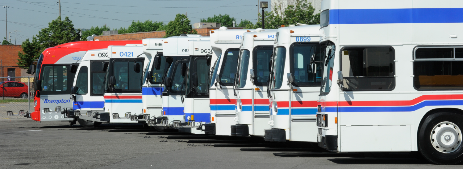 50 Years of Brampton Transit